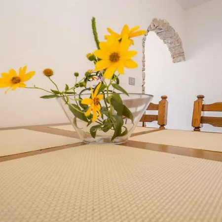 Guest house Apartment Medulin 3*